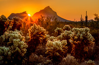 Sonoran Desert Sunrise #1, Tucson Arizona