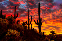 Sonoran Desert Sunrise #2, Tucson Arizona
