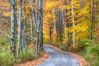 Back Road Color along Spruce Knob Rd., Middletown Springs