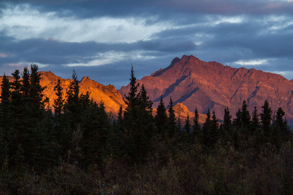 Last light on the mountains of Denali National Park