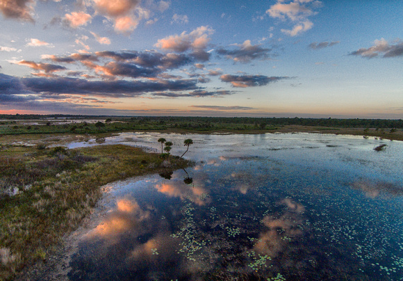 Morning on the South Marsh, Savannas Preserve State Park, FL