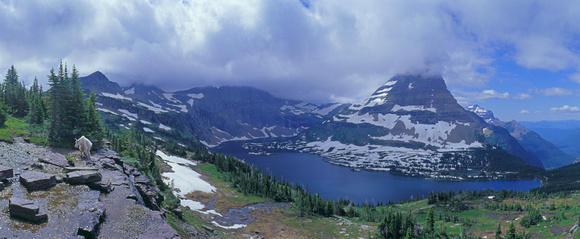 Hidden Lake and Bearhat Mountain, Glacier NP, Montana