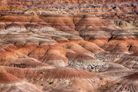 Bentonite Badlands #4, Eastern Utah