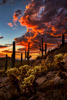 Sonoran Desert Sunset #1, Tucson, AZ