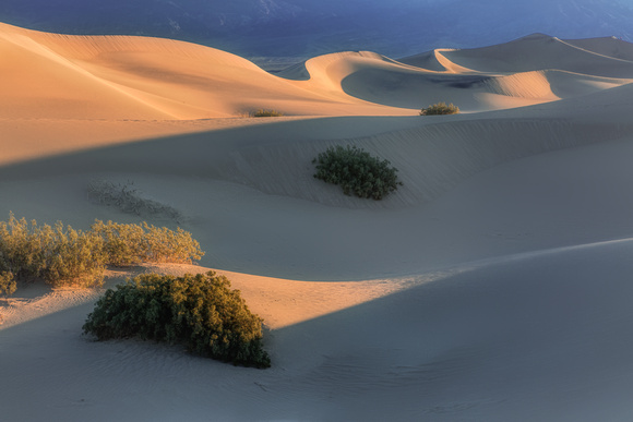 Sand Dunes #1, Mesquite Flats, Death Valley NP, California