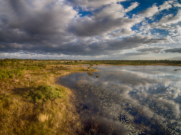 Late Afternoon Clouds Reflected, Savannas Preserve State Park, FL