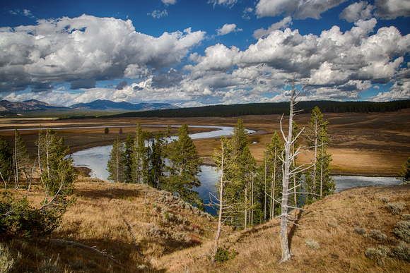 Yellowstone River flowing through the Hayden Valley