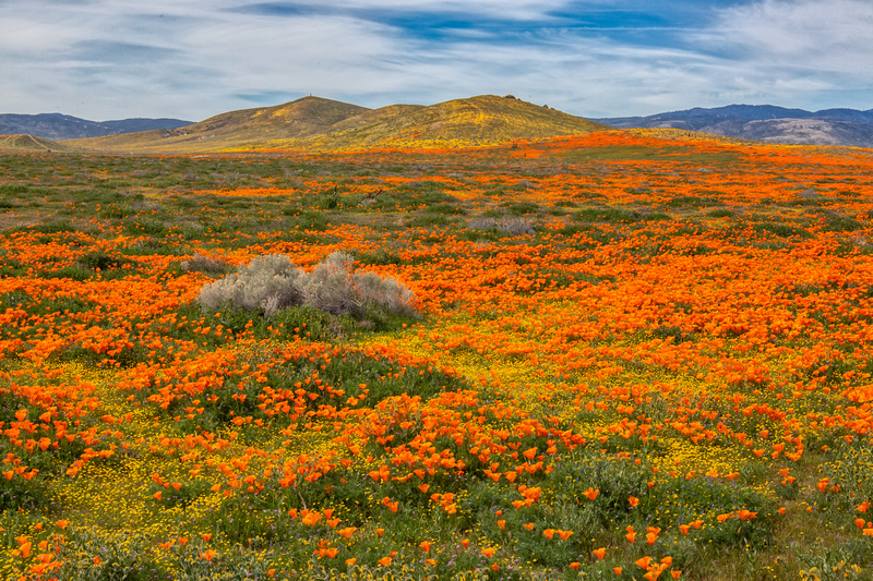 Alan Nyiri Photography | The Desert Southwest