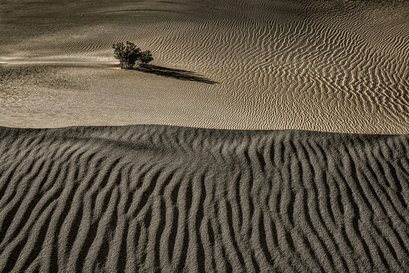 Sand Dunes #2, Mesquite Flats, Death Valley NP, California