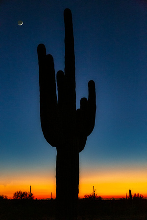 Sonoran Desert Twilight, Picacho State Park, Arizona