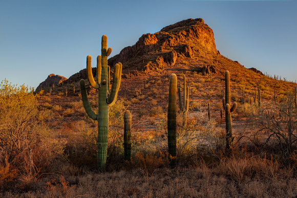 Sonoran Desert Evening, Picacho State Park, Arizona
