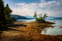 Mount Desert Island from the head of Frenchman Bay