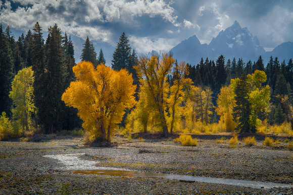 Autumn Color along Pilgrim Creek