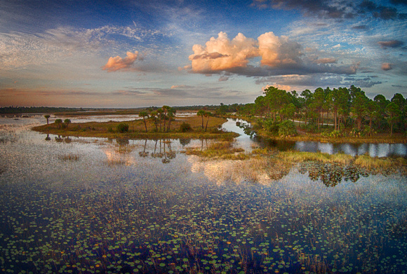 Evening Over the South Marsh, Savannas Preserve State Park, FL