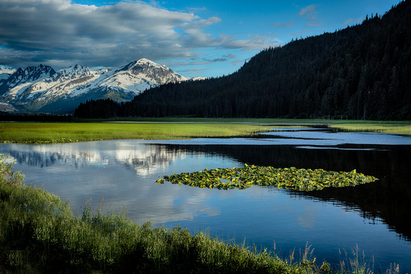 Mountain reflections in a lily pond, Portage, Alaska