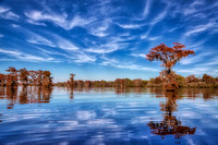 Bayou Country of Louisiana