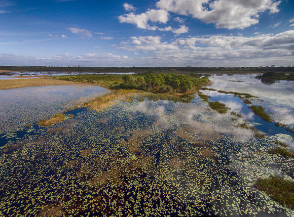 North Marsh Reflections, Savannas Preserve State Park, FL