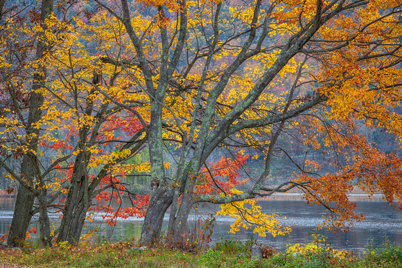 The Colors of Autumn, Little Lake St. Catherine