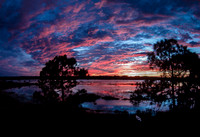 Sunset Through the Pines, Savannas Preserve State Park, FL